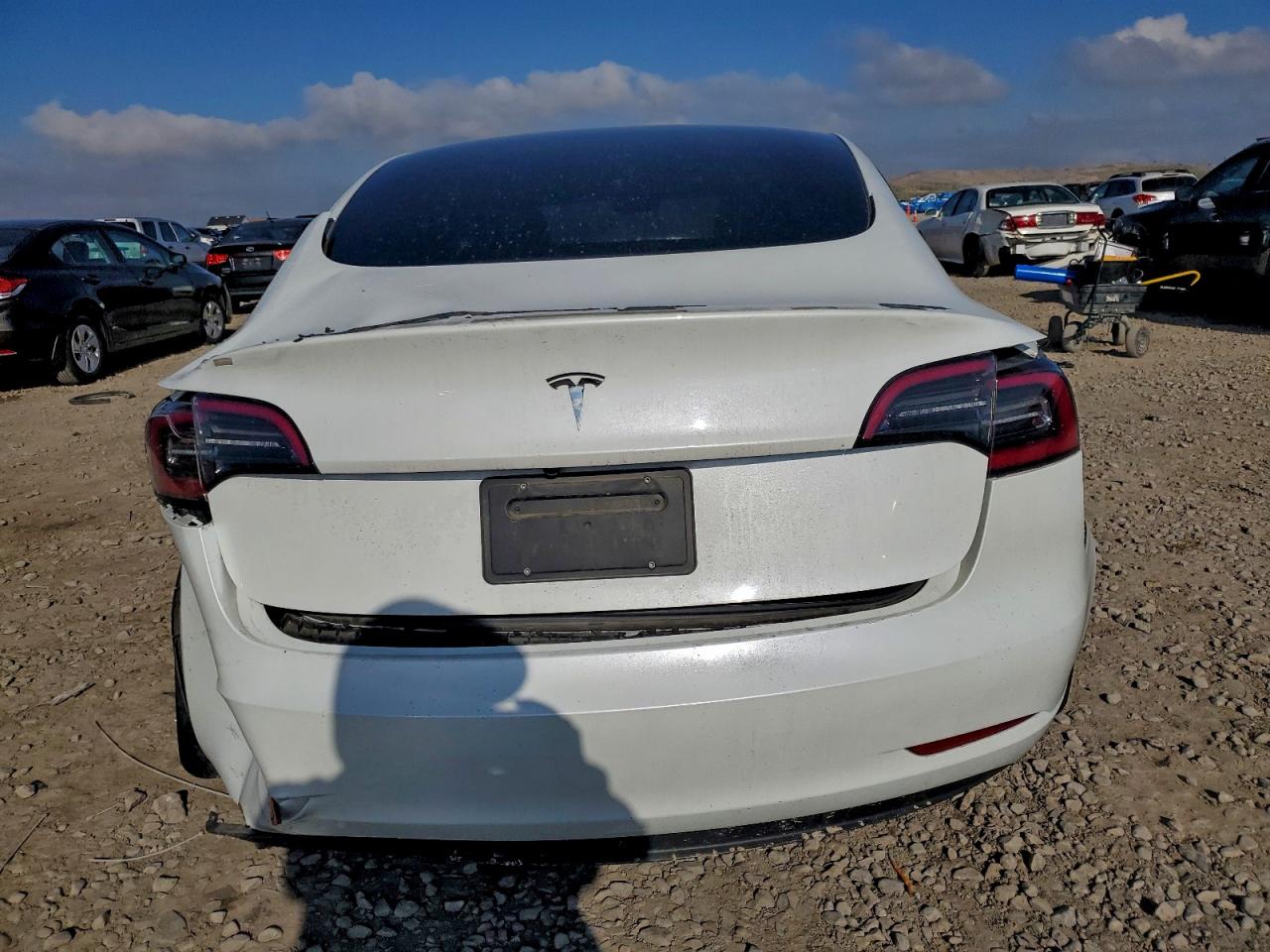 2023 Tesla Model 3 VIN: 5YJ3E1EA9PF570421 Lot: 93956045