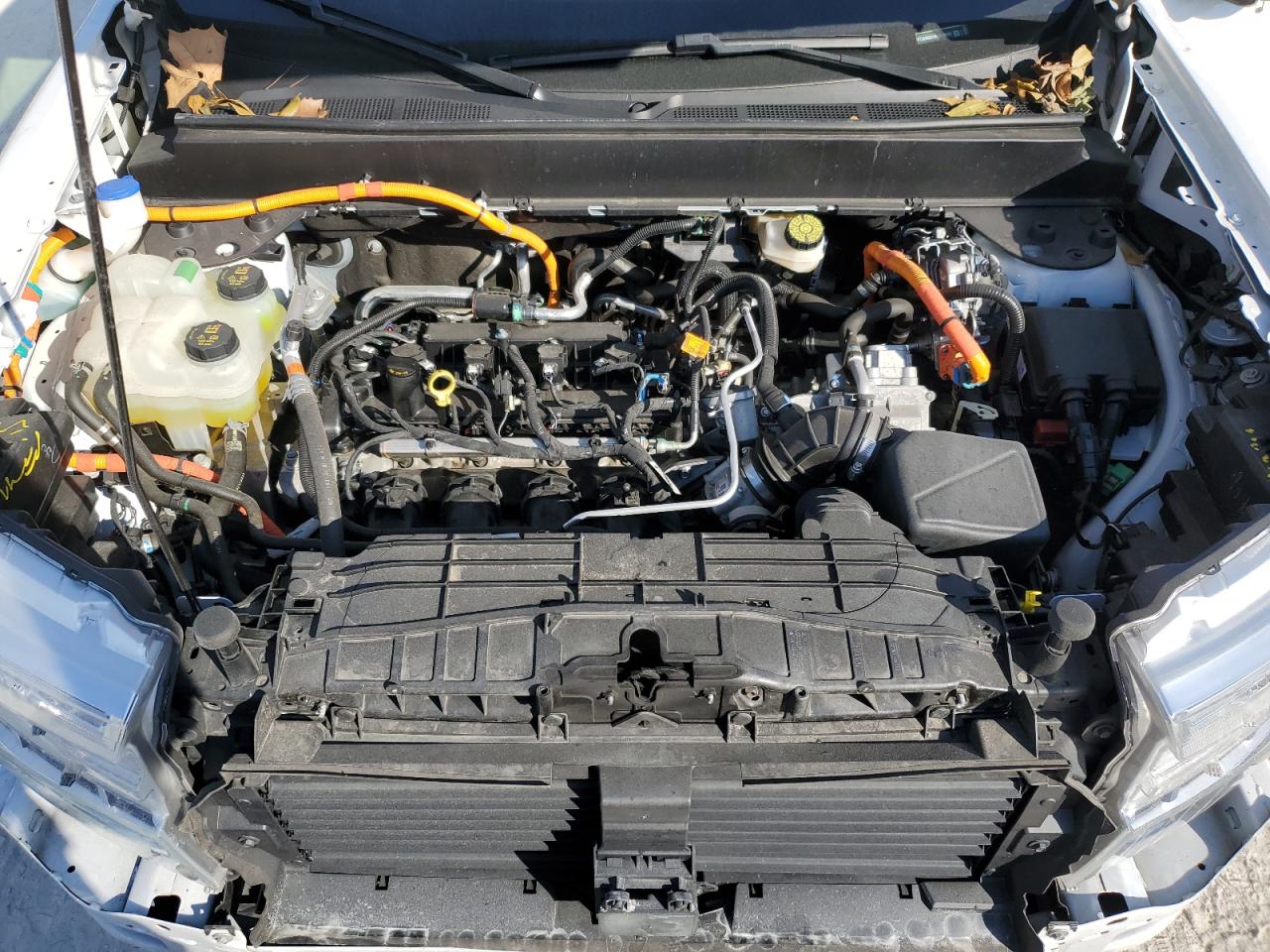 2024 Ford Maverick Lariat VIN: 3FTTW8M31RRB19025 Lot: 93195735