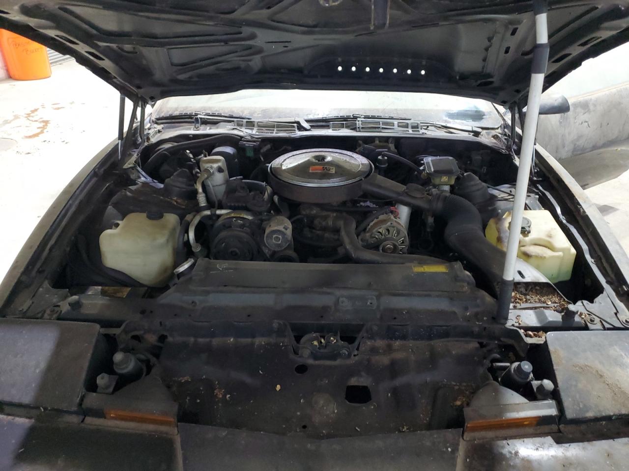 1988 Pontiac Firebird VIN: 1G2FS21E6JL242273 Lot: 93621595