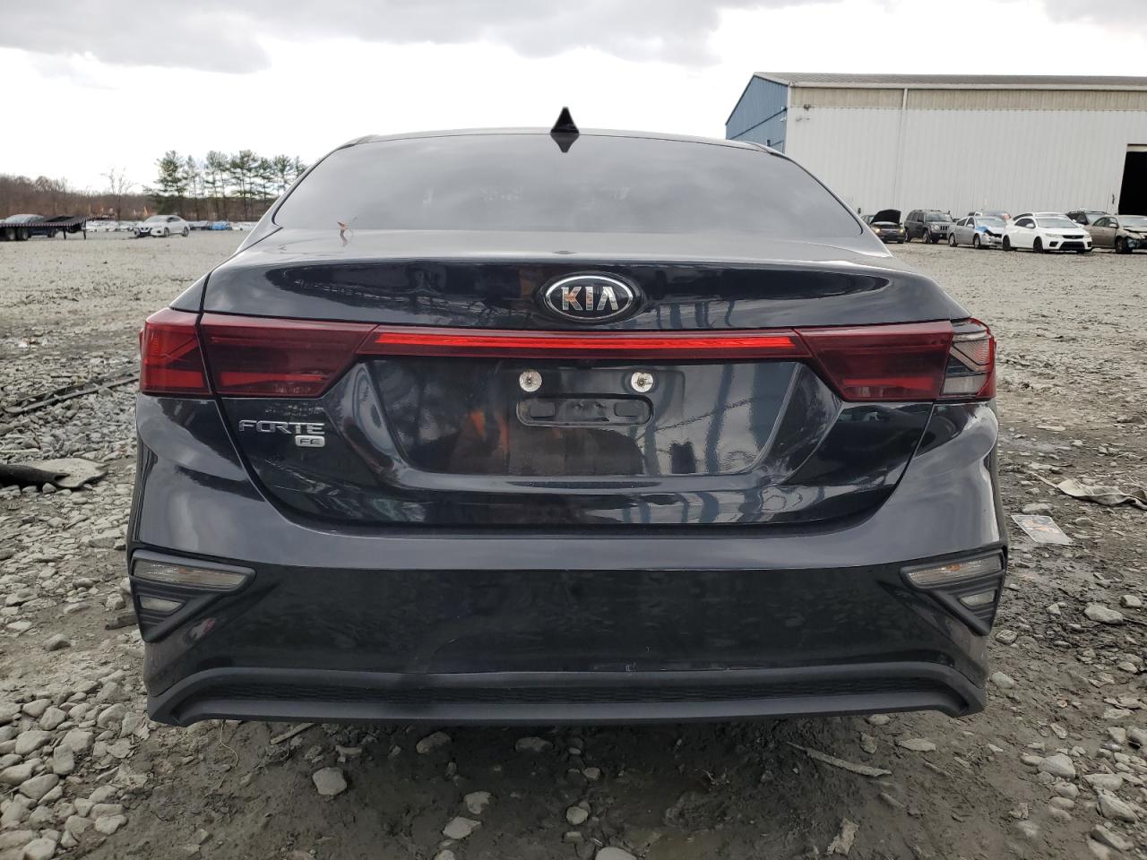 2019 Kia Forte Fe VIN: 3KPF24AD2KE010455 Lot: 91881145