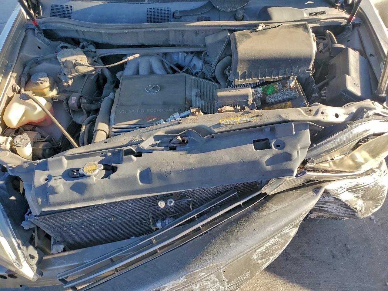 1999 Lexus Rx 300 VIN: JT6HF10U8X0082894 Lot: 92667735