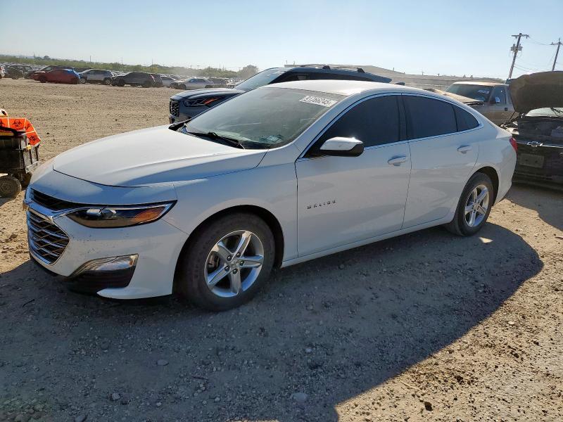 CHEVROLET MALIBU LS 2023