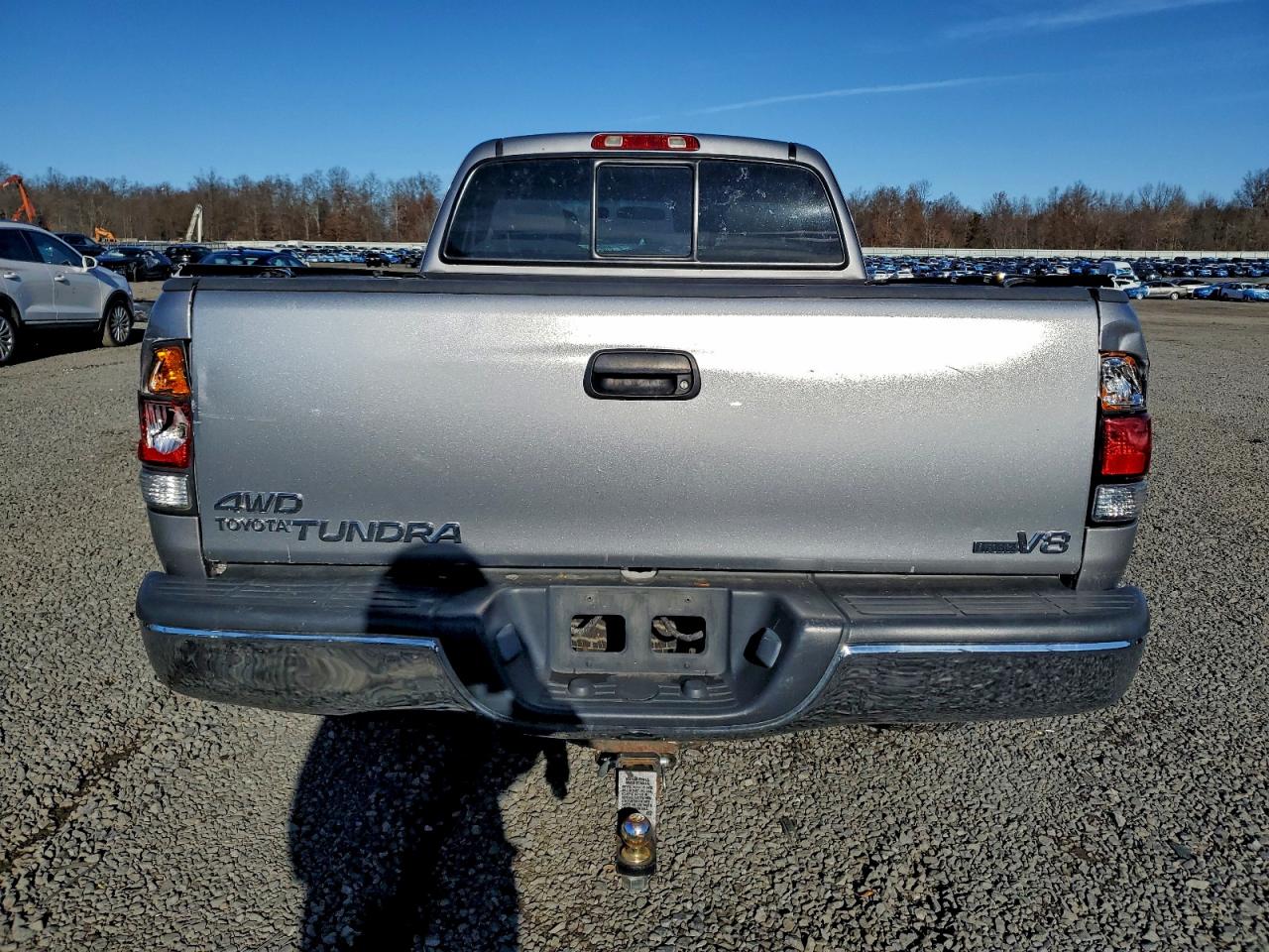 2003 Toyota Tundra Access Cab Sr5 VIN: 5TBBT44183S359987 Lot: 93669435