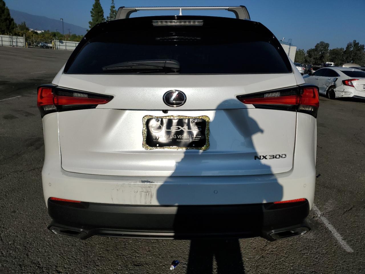 2020 Lexus Nx 300 VIN: JTJDARBZ6L5010485 Lot: 91883005