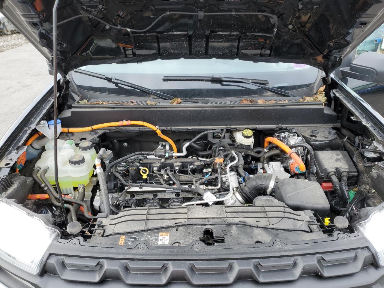 2024 Ford Maverick Xl VIN: 3FTTW8A33RRB65816 Lot: 90996925