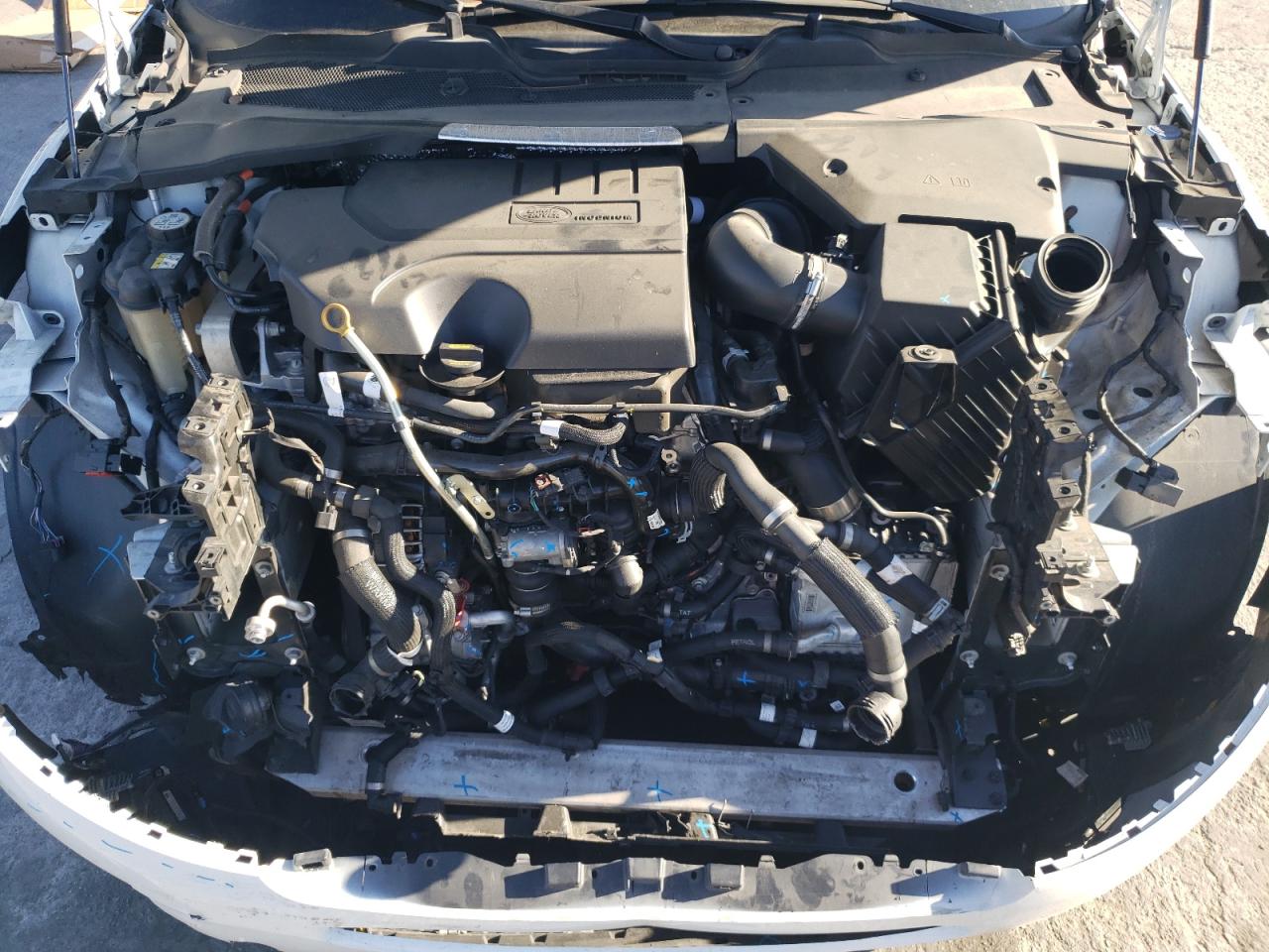 2023 Land Rover Range Rover Evoque S VIN: SALZJ2FX3PH203618 Lot: 90417285