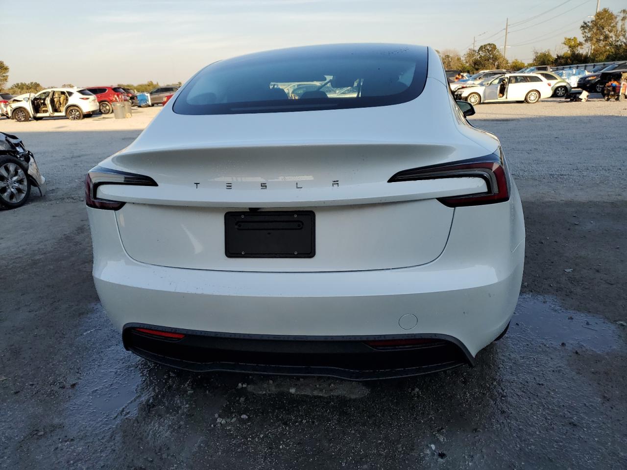 2025 Tesla Model 3 VIN: 5YJ3E1EA2SF064373 Lot: 93341075