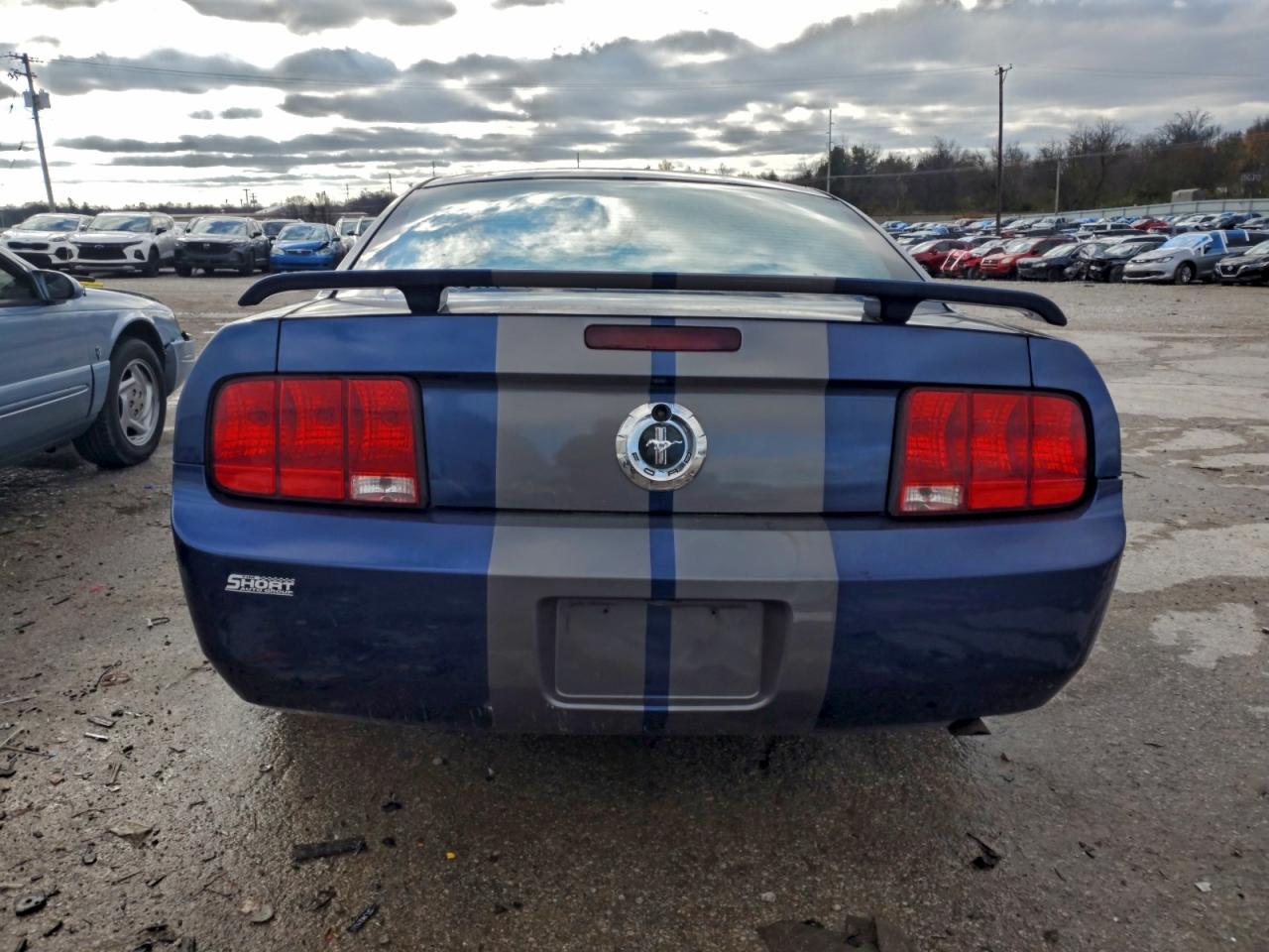 2006 Ford Mustang VIN: 1ZVFT80N765110645 Lot: 93628205