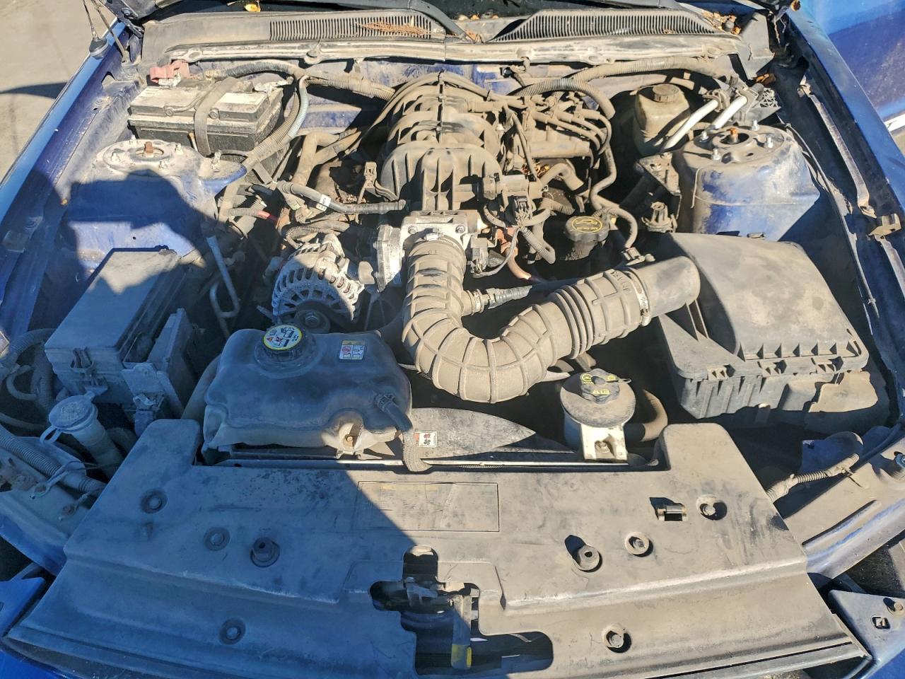 2006 Ford Mustang VIN: 1ZVFT80N165150994 Lot: 93340995