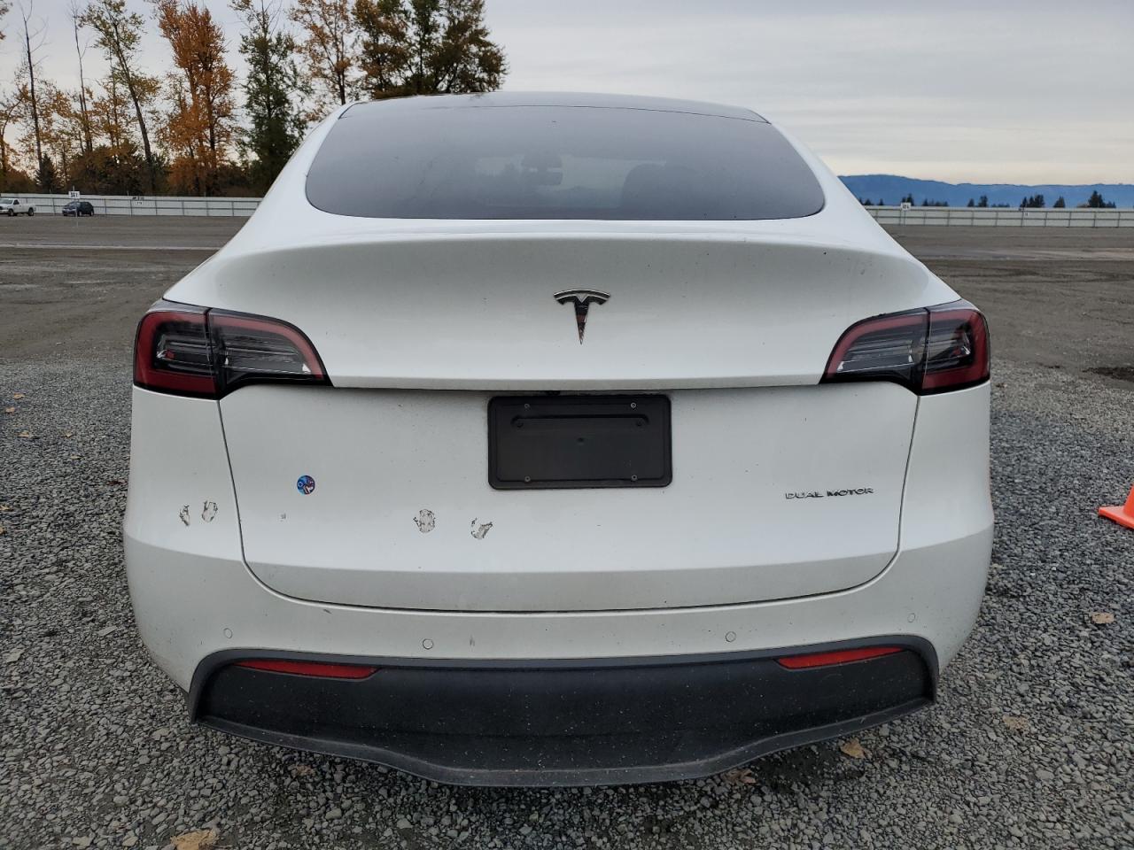 2022 Tesla Model Y VIN: 7SAYGAEE9NF487333 Lot: 90731985