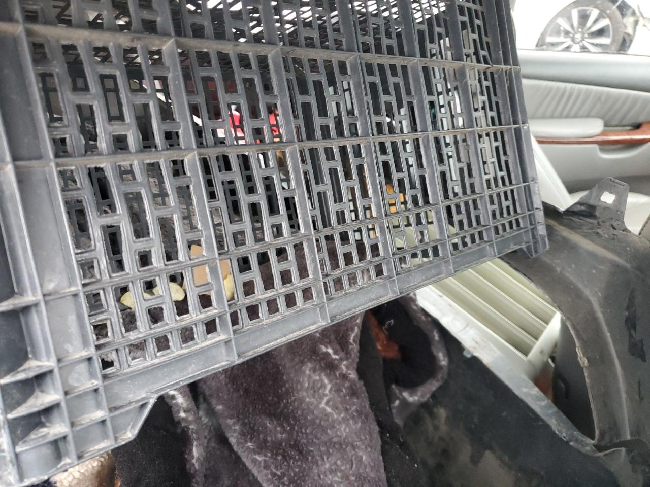 2008 Toyota Sienna Xle VIN: 5TDZK22C88S141315 Lot: 92648955