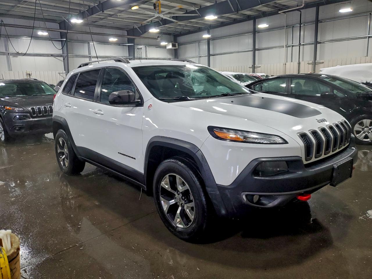 2016 Jeep Cherokee Trailhawk VIN: 1C4PJMBB6GW225841 Lot: 93994445