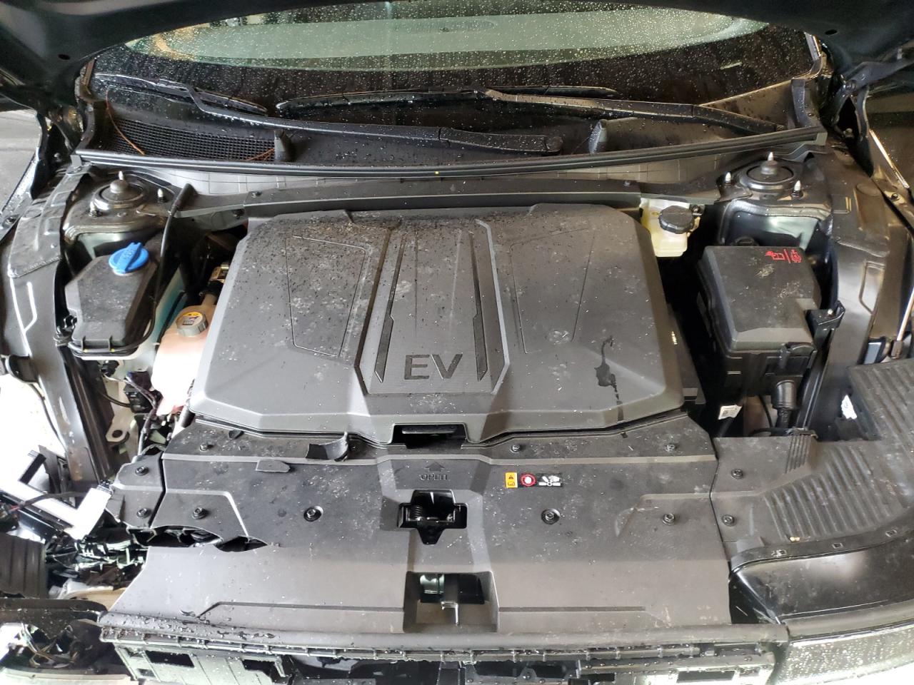 2025 Hyundai Ioniq 5 Se VIN: 7YAKM4DA1SY025817 Lot: 93556465