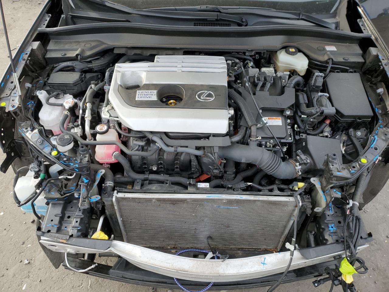 2021 Lexus Ux 250H VIN: JTHP9JBH6M2049581 Lot: 93242785