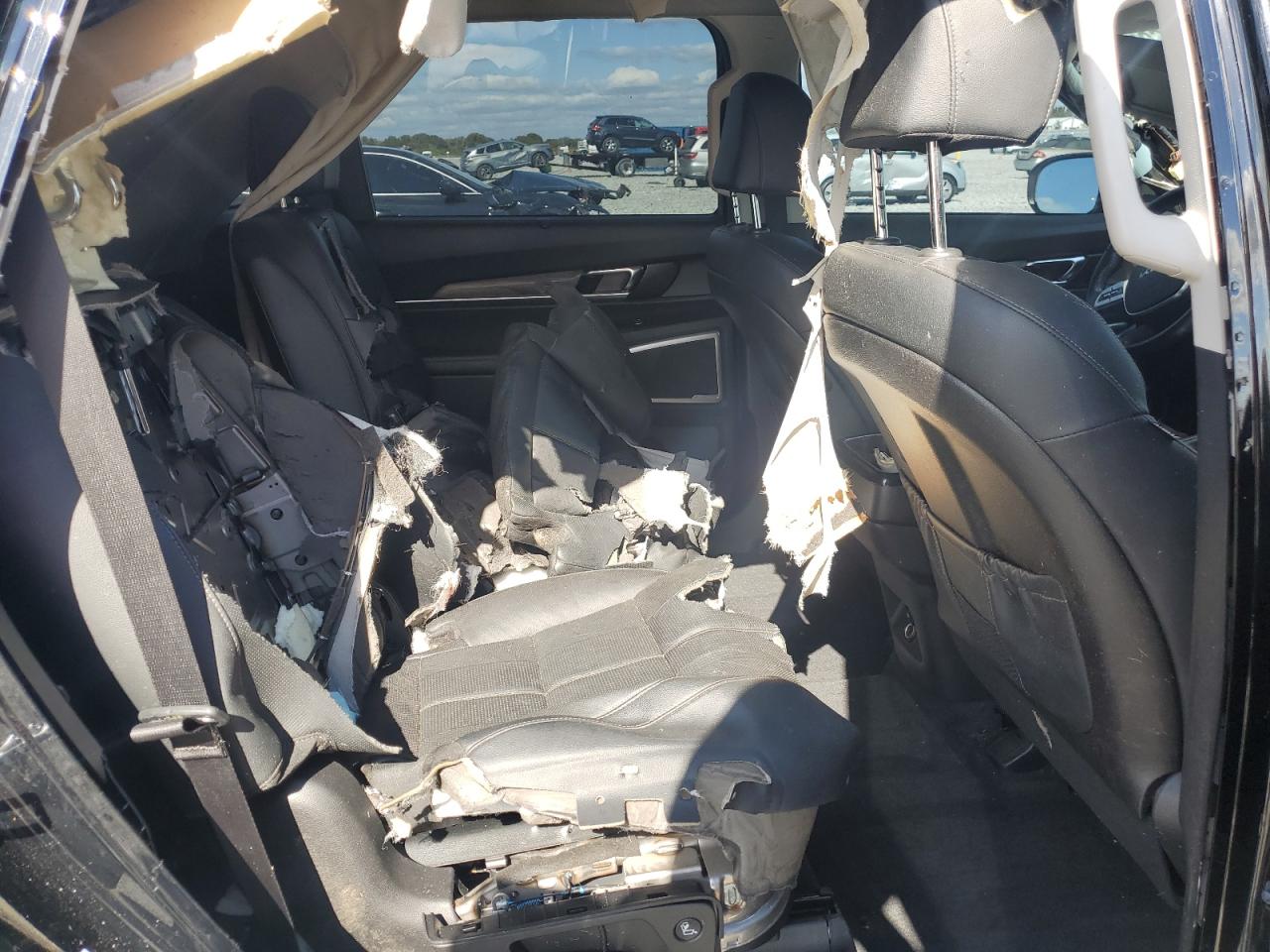 2022 Kia Telluride Ex VIN: 5XYP3DHCXNG318494 Lot: 93072695