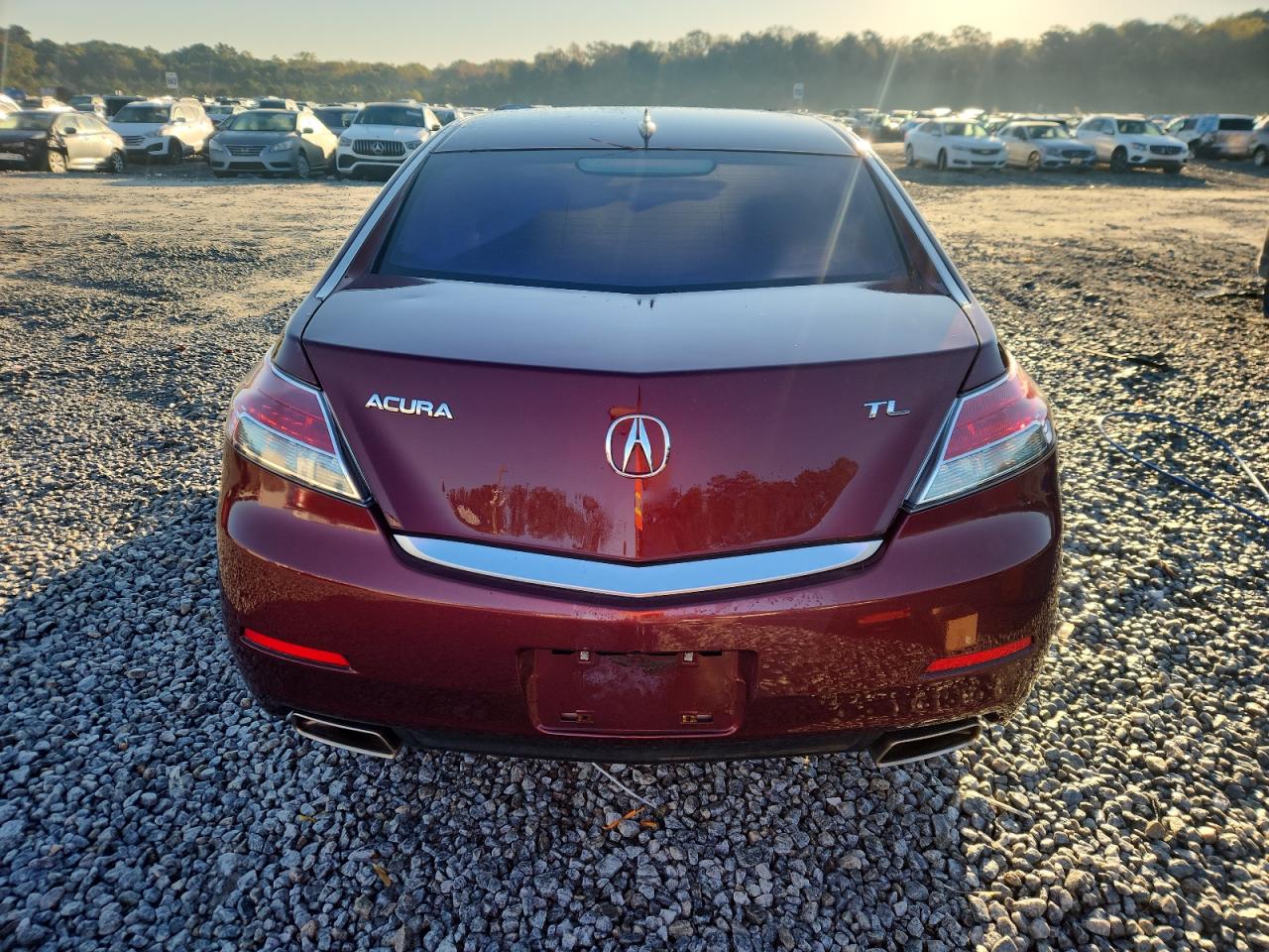 2012 Acura Tl VIN: 19UUA8F24CA022279 Lot: 91021005