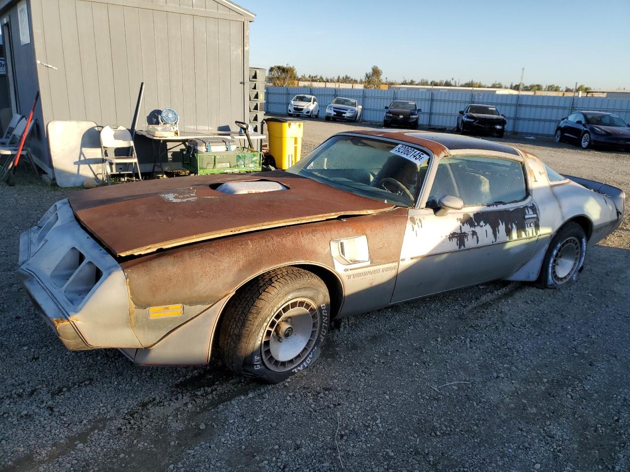 1979 Pontiac Firebird
