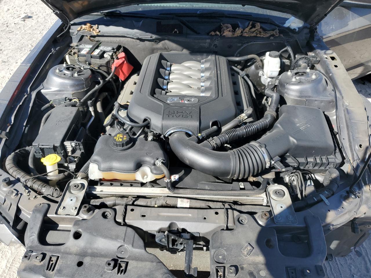 2013 Ford Mustang Gt VIN: 1ZVBP8CF4D5277503 Lot: 91602485