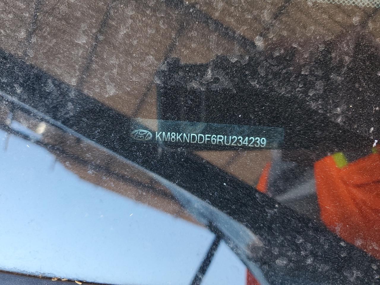 2024 Hyundai Ioniq 5 Sel VIN: KM8KNDDF6RU234239 Lot: 91383915