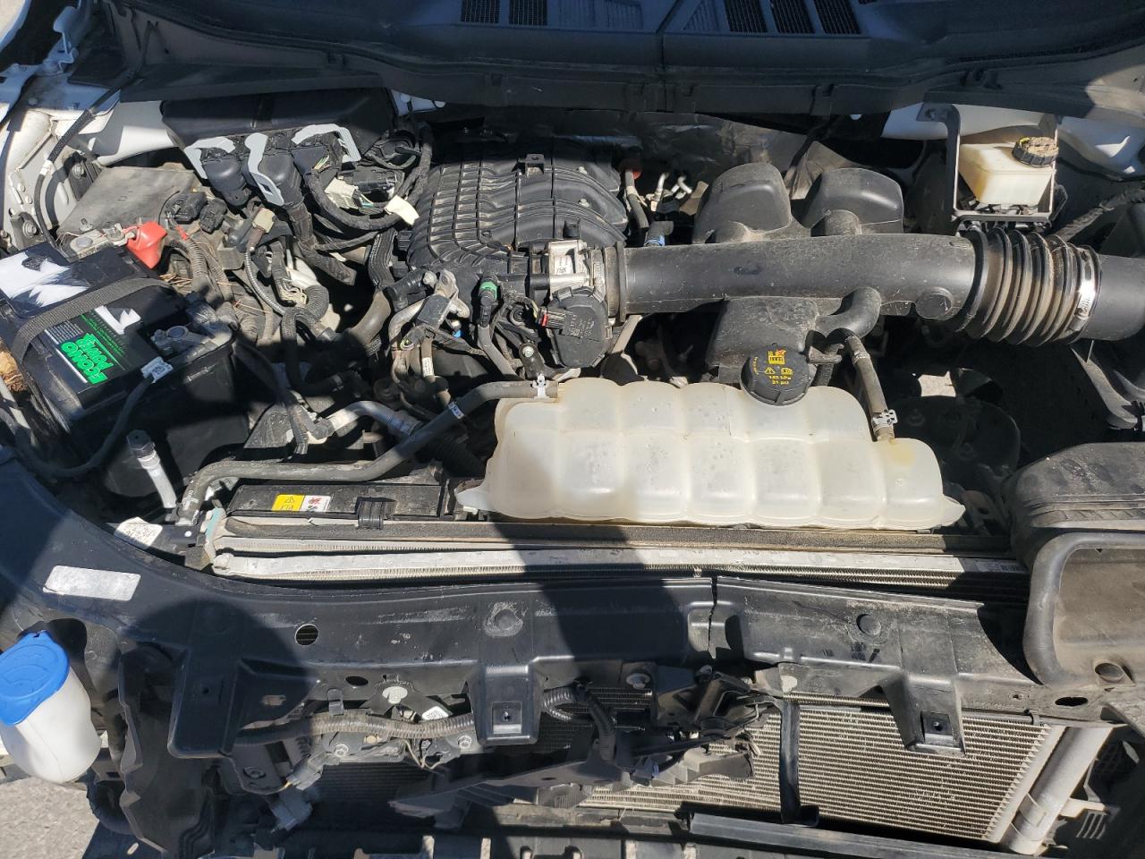 2022 Ford F150 VIN: 1FTMF1CB1NKD86944 Lot: 91944345