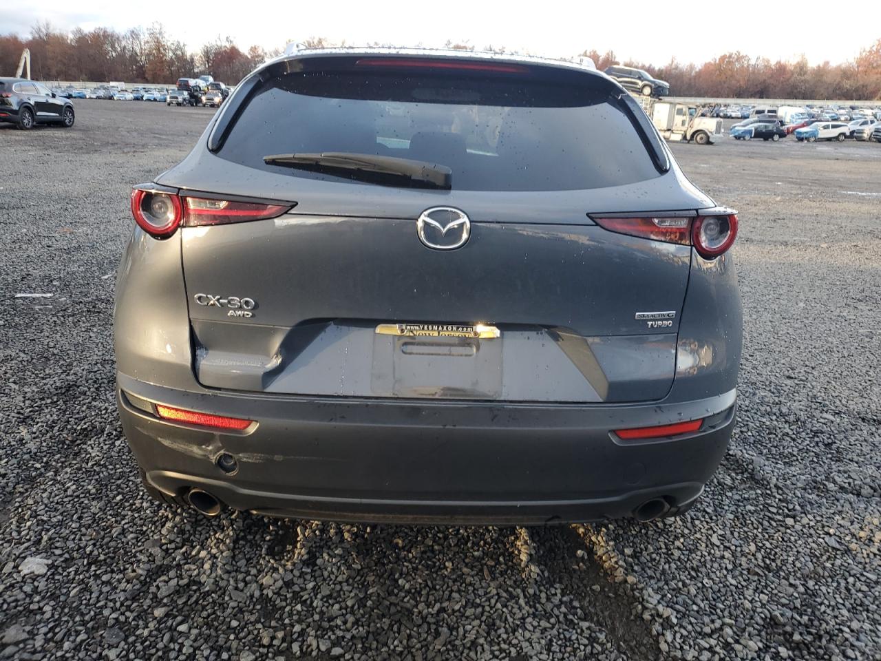 2021 Mazda Cx-30 VIN: 3MVDMBAY0MM300113 Lot: 92323285