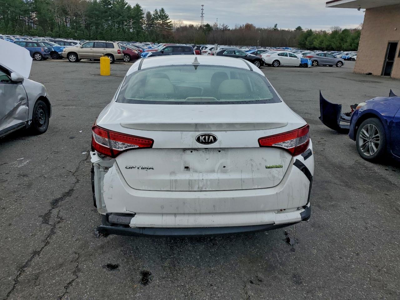 2013 Kia Optima Hybrid VIN: KNAGM4AD6D5042562 Lot: 93354605