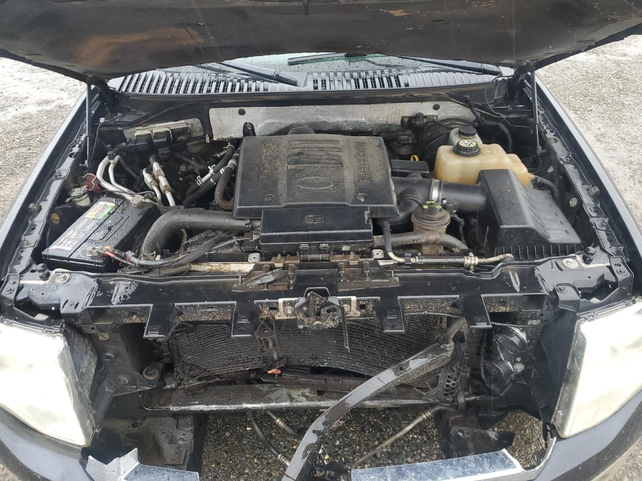 2007 Ford Expedition Eddie Bauer VIN: 1FMFU18547LA12192 Lot: 92738085