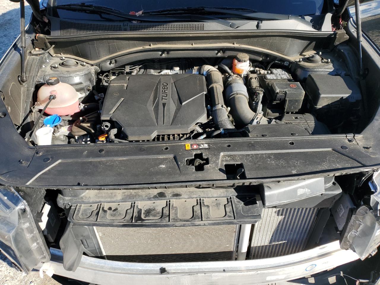 2022 Hyundai Santa Fe Limited VIN: 5NMS4DAL2NH456134 Lot: 93194725