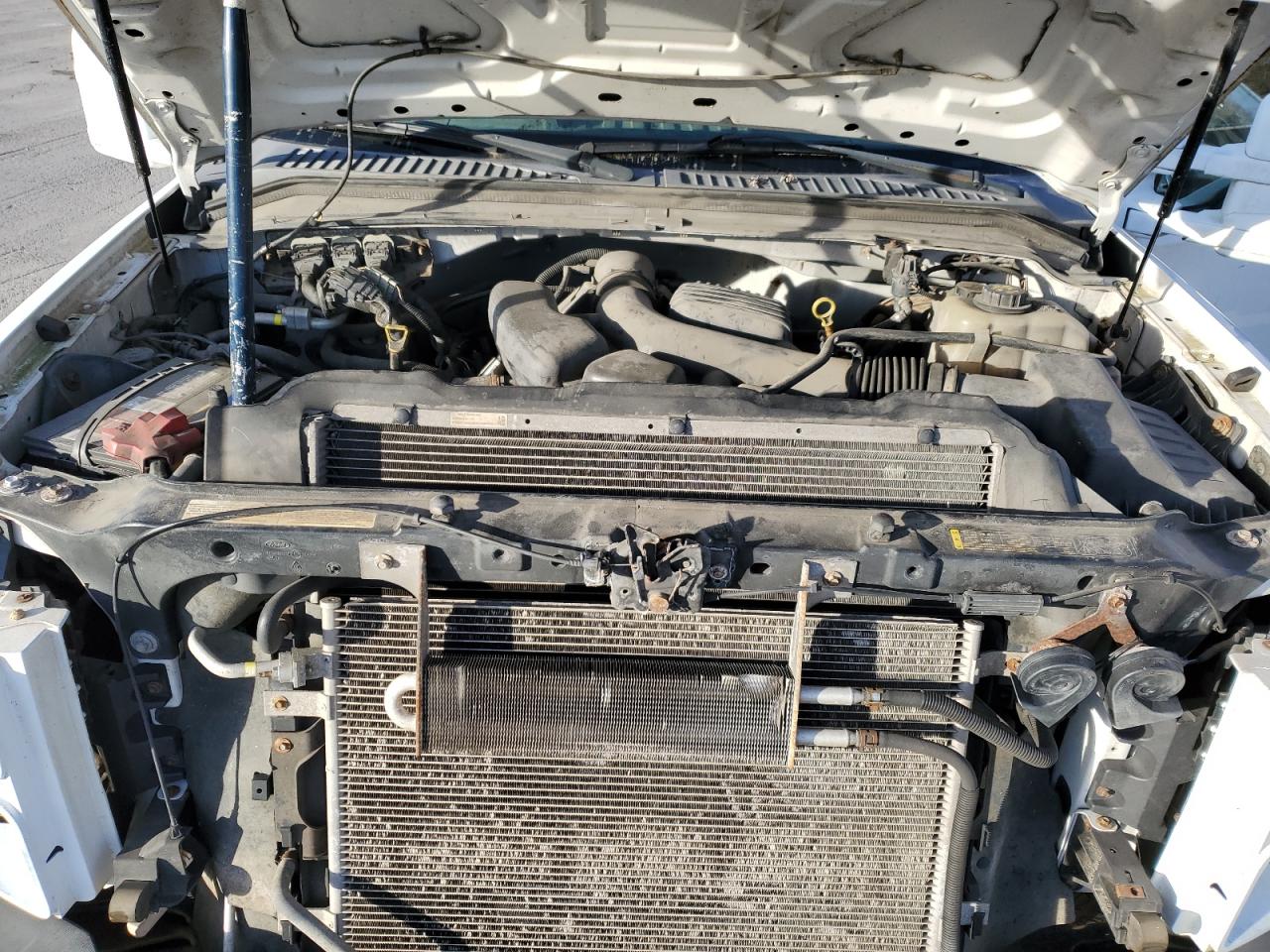 2010 Ford F250 Super Duty VIN: 1FTSX2A59AEA66559 Lot: 91897835