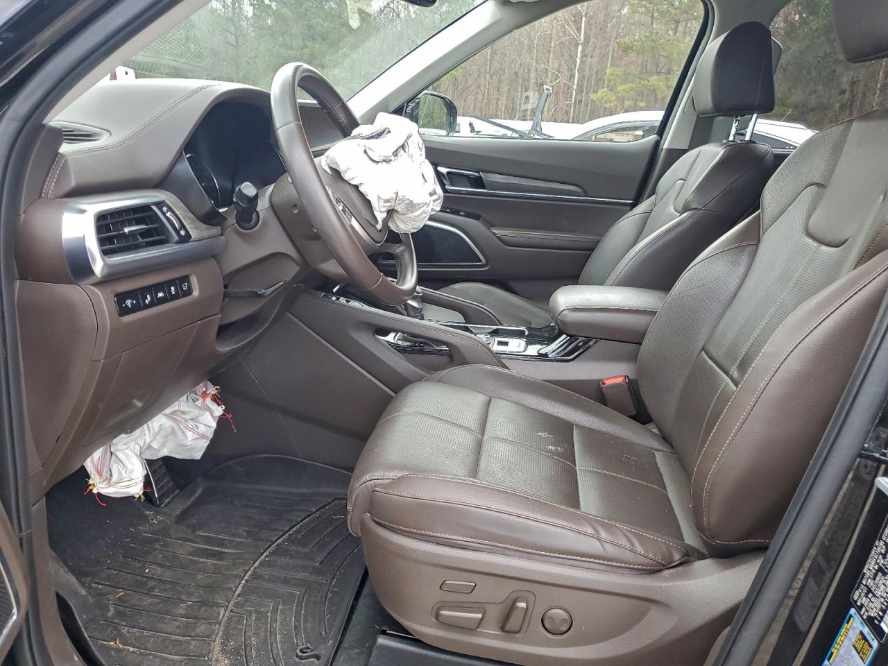 2021 Kia Telluride Sx VIN: 5XYP54HC7MG176209 Lot: 94154895