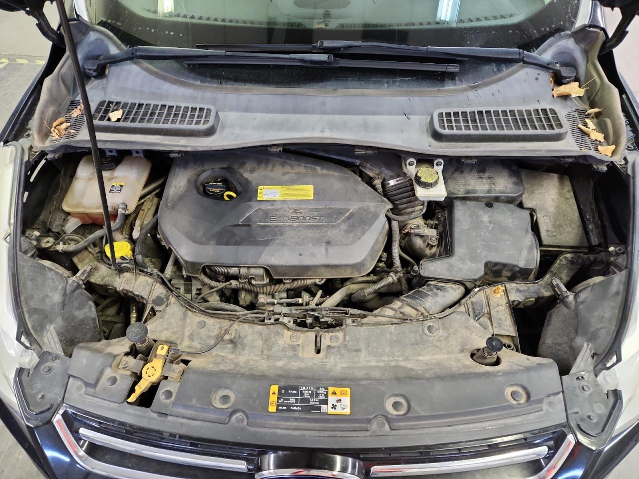 2013 Ford Escape Sel VIN: 1FMCU0HX8DUA75008 Lot: 93518805