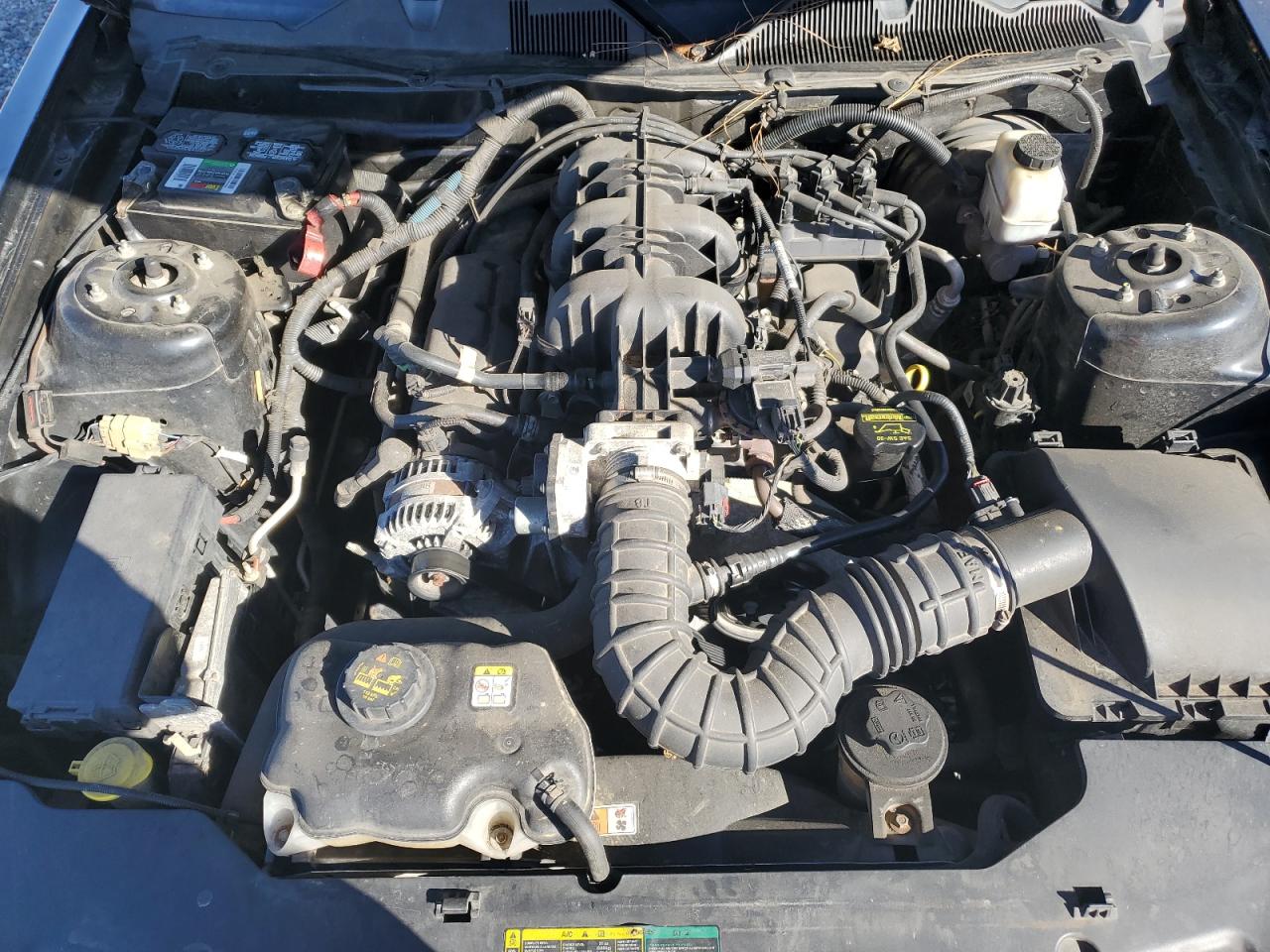 2010 Ford Mustang VIN: 1ZVBP8EN0A5173946 Lot: 91242885