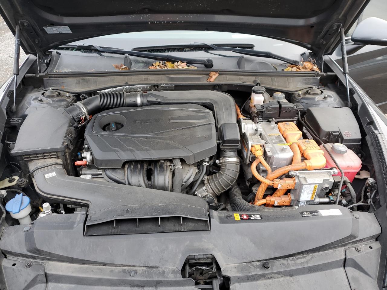 2021 Hyundai Sonata Hybrid VIN: KMHL54JJ4MA023550 Lot: 93205045
