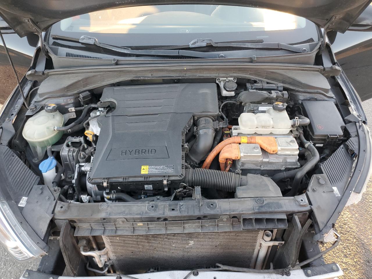 2019 Hyundai Ioniq Blue VIN: KMHC65LC7KU179580 Lot: 91963075