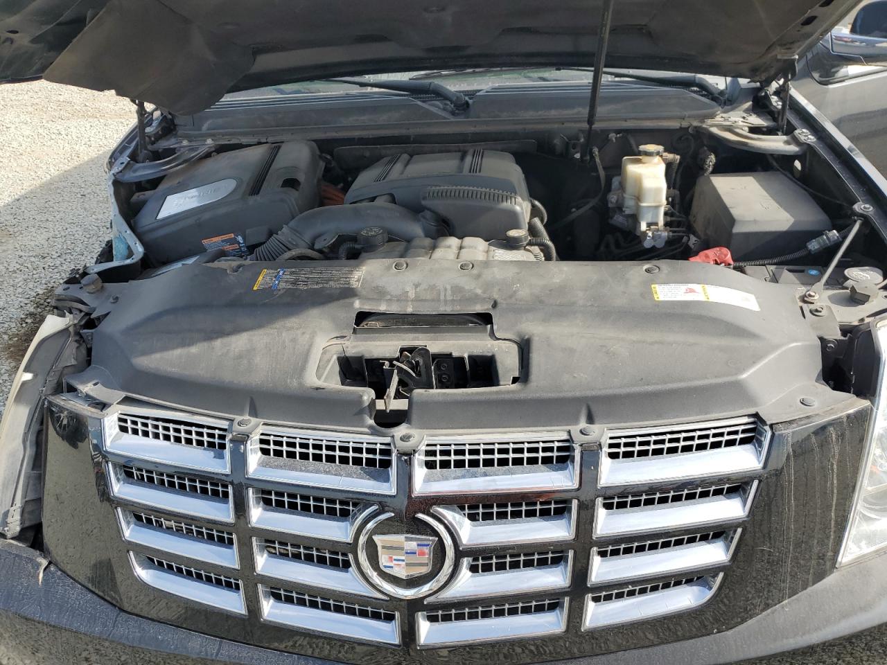 2009 Cadillac Escalade Hybrid VIN: 1GYFC43509R115703 Lot: 91709475