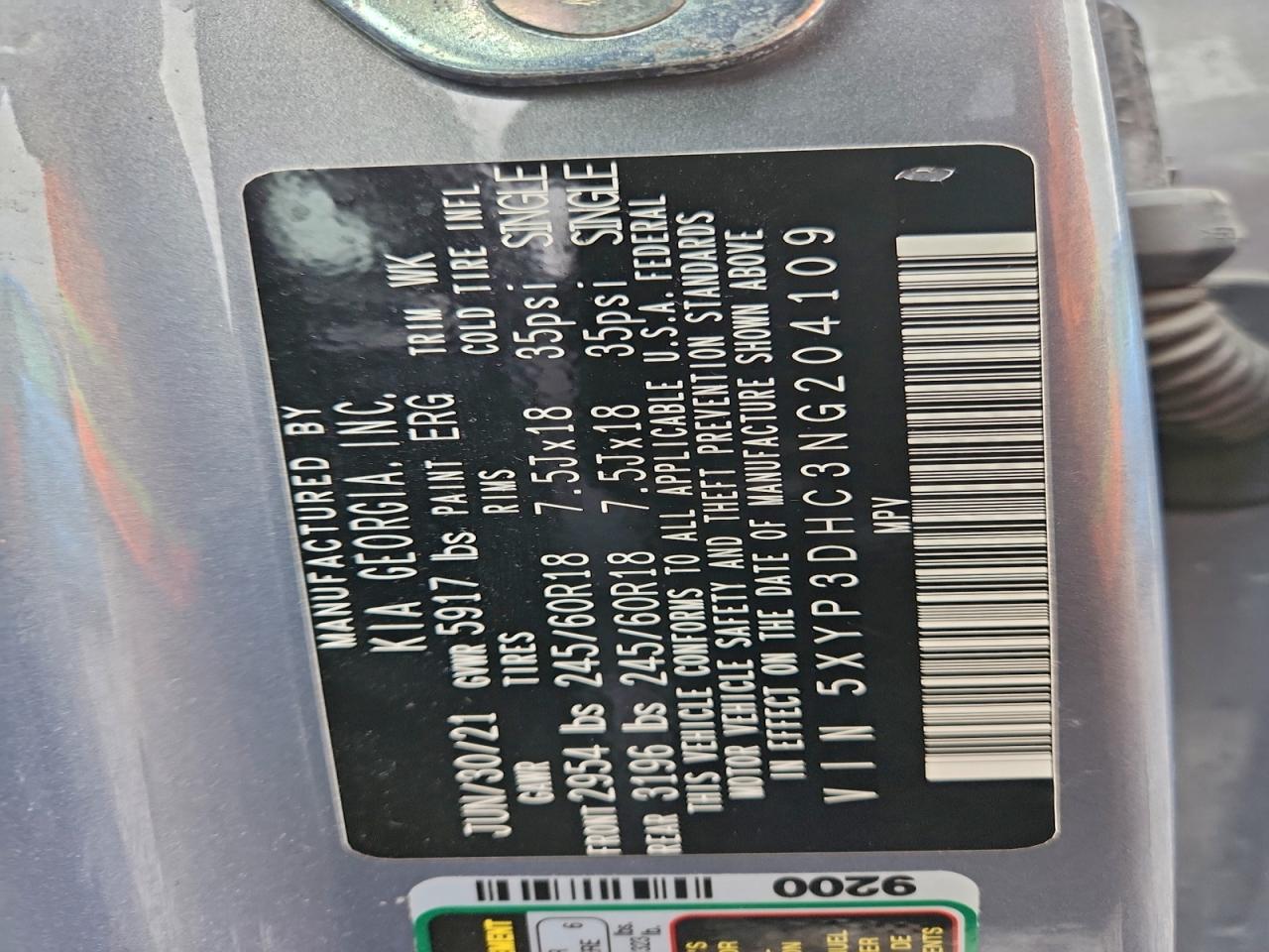 2022 Kia Telluride Ex VIN: 5XYP3DHC3NG204109 Lot: 94181175