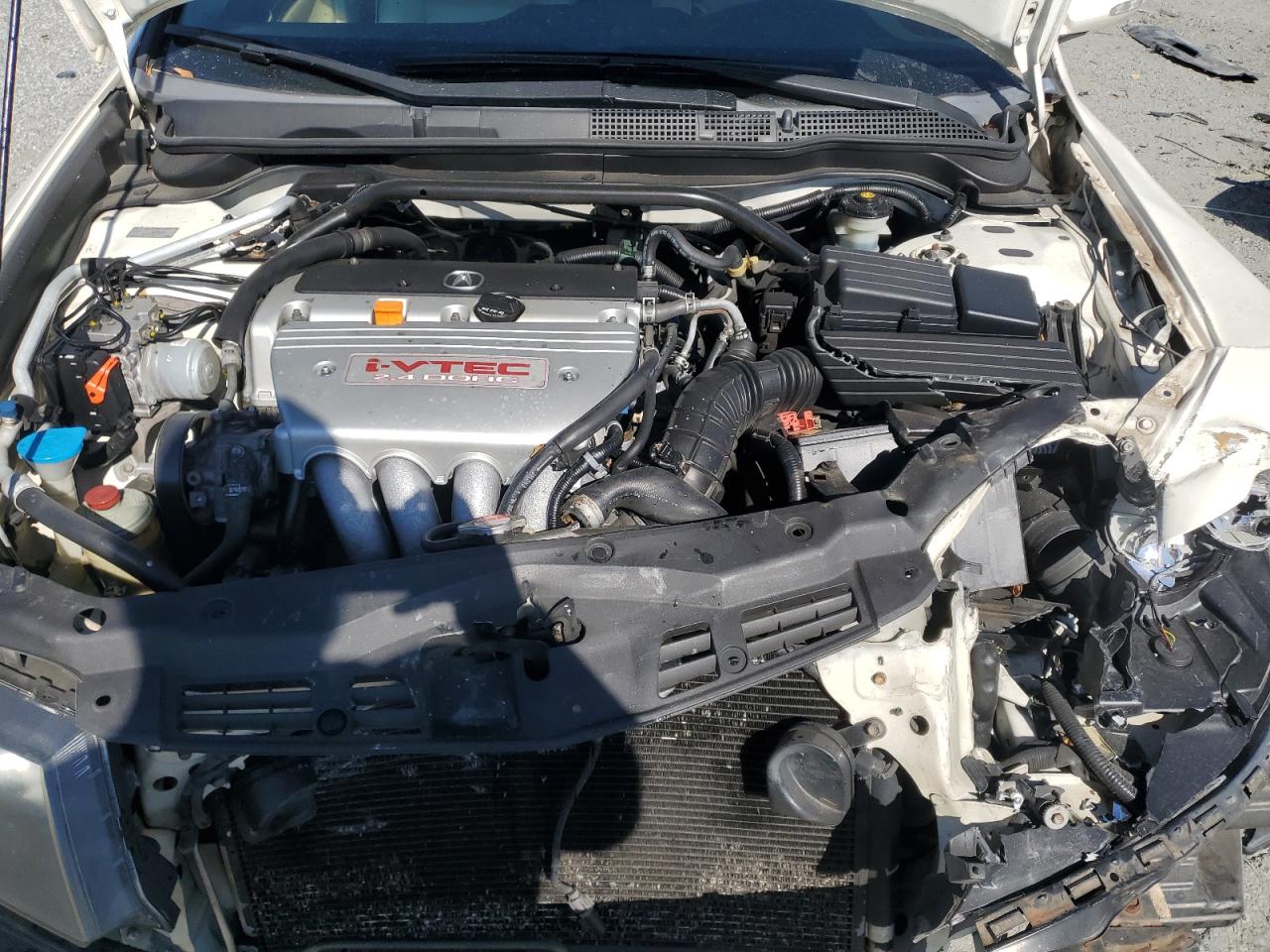 2006 Acura Tsx VIN: JH4CL96806C020244 Lot: 91736685