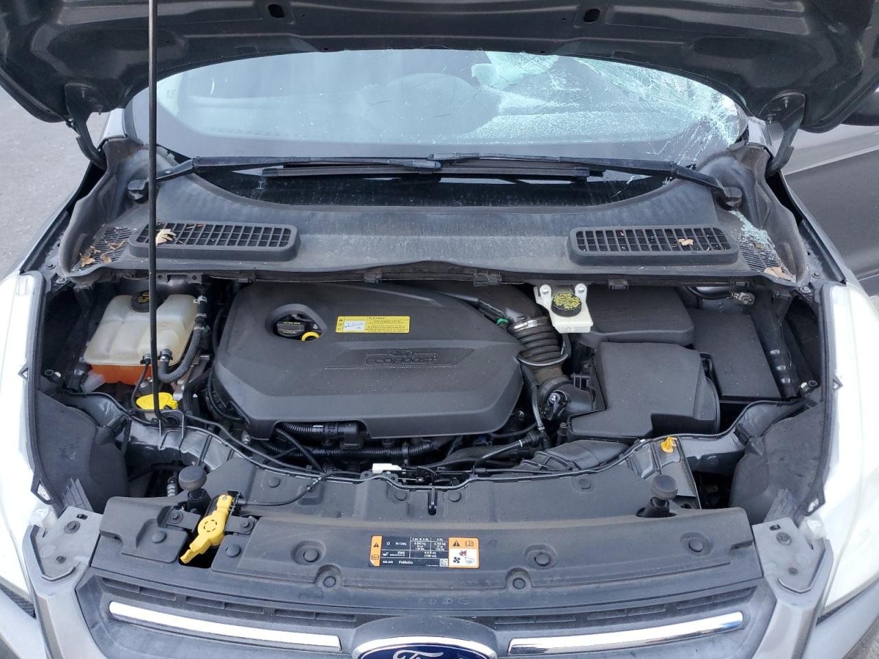 2014 Ford Escape Se VIN: 1FMCU0GX9EUD01558 Lot: 93445825