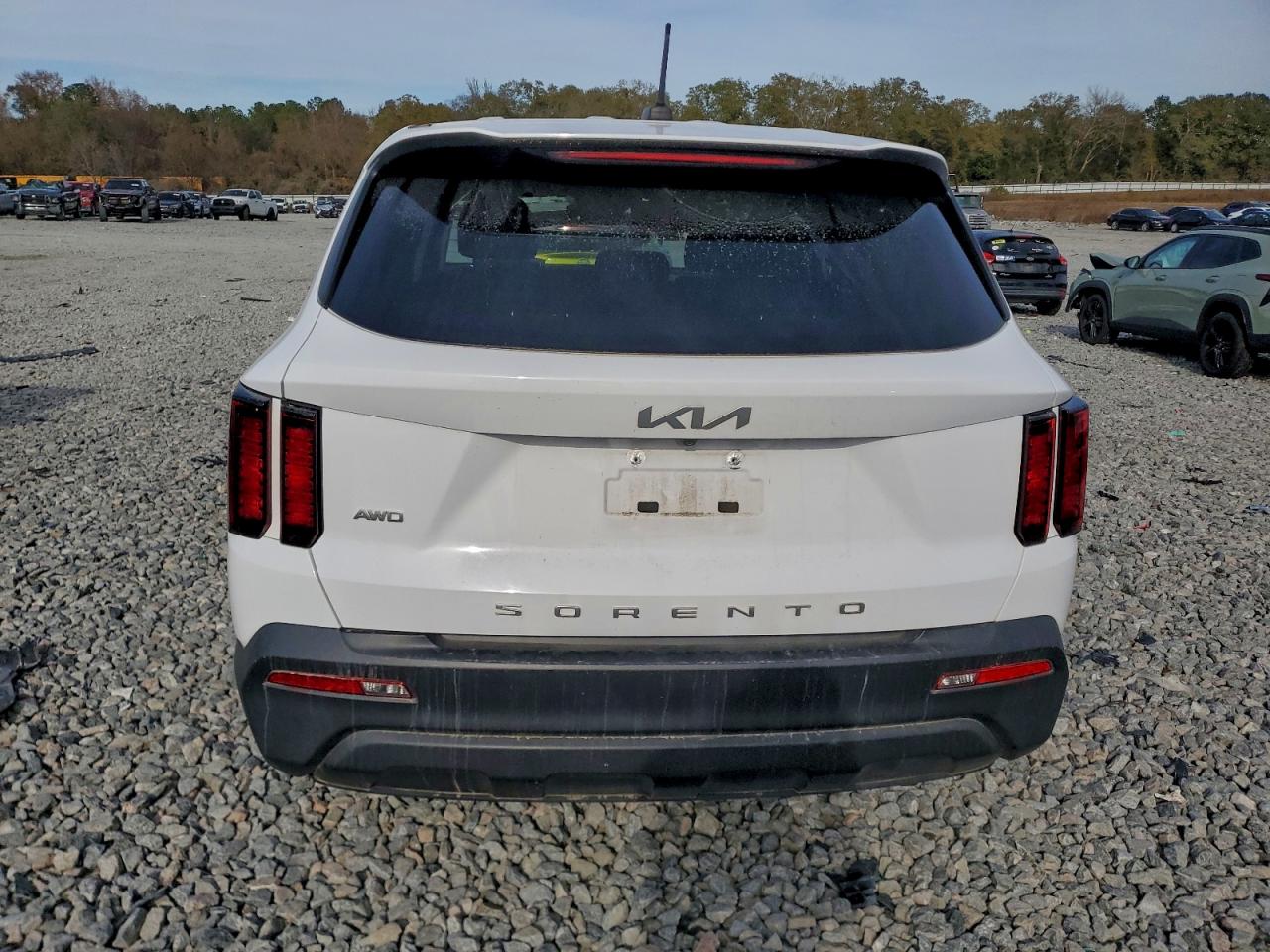 2022 Kia Sorento Lx VIN: 5XYRGDLCXNG100351 Lot: 94155815