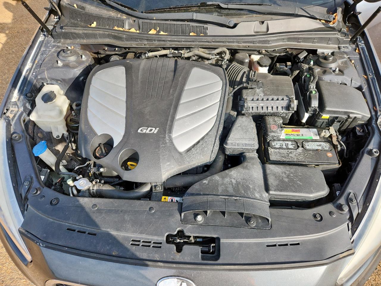 2015 Kia Cadenza Premium VIN: KNALN4D77F5194466 Lot: 93748835