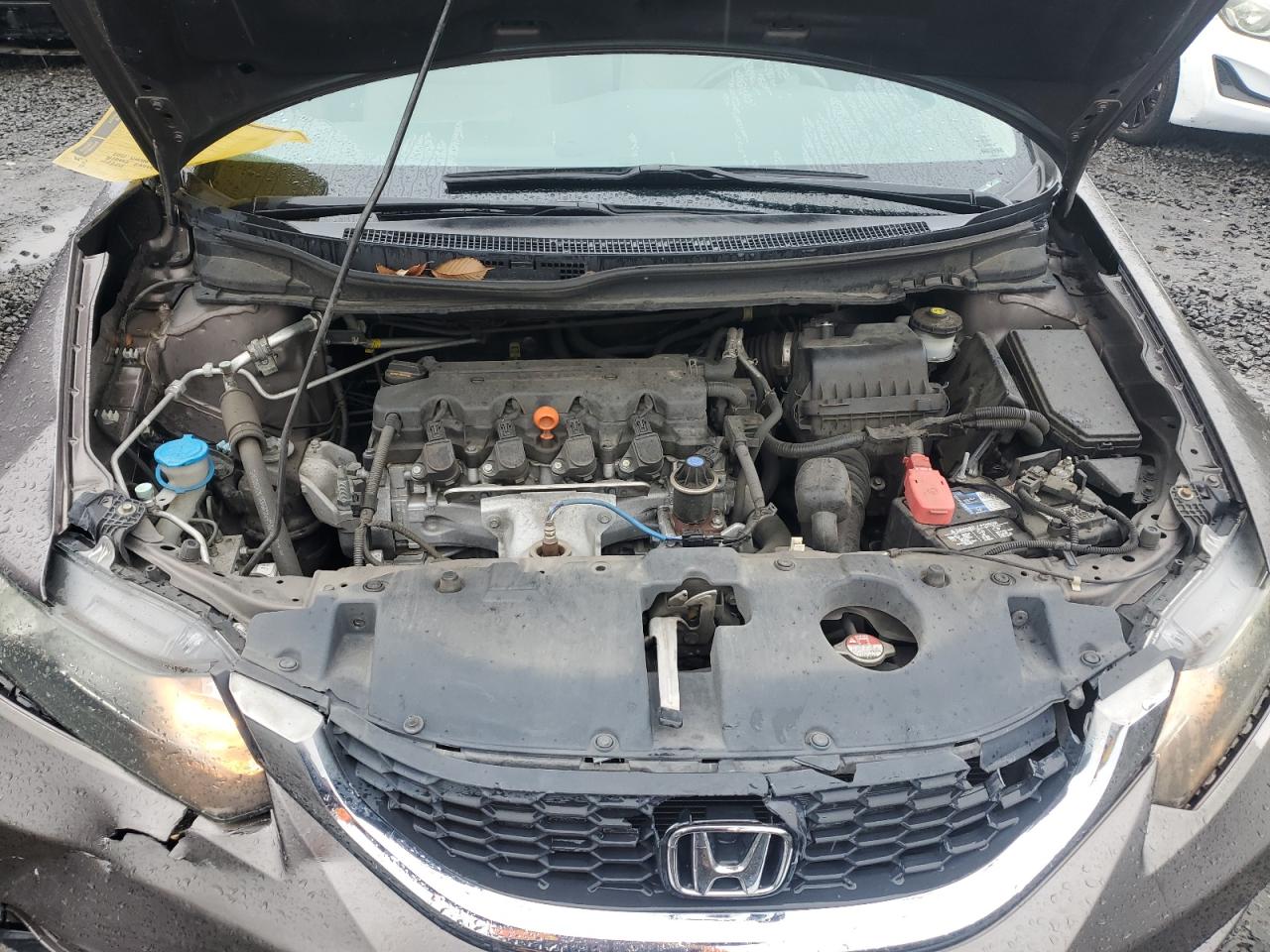 2015 Honda Civic Lx VIN: 19XFB2F54FE261988 Lot: 90937495