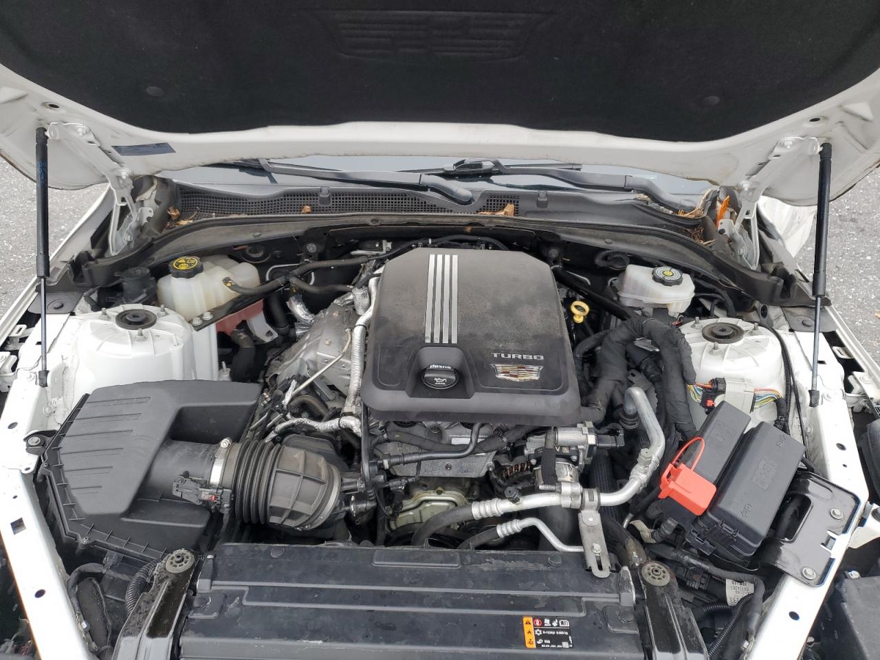 2021 Cadillac Ct4 Sport VIN: 1G6DG5RK4M0146456 Lot: 92029895