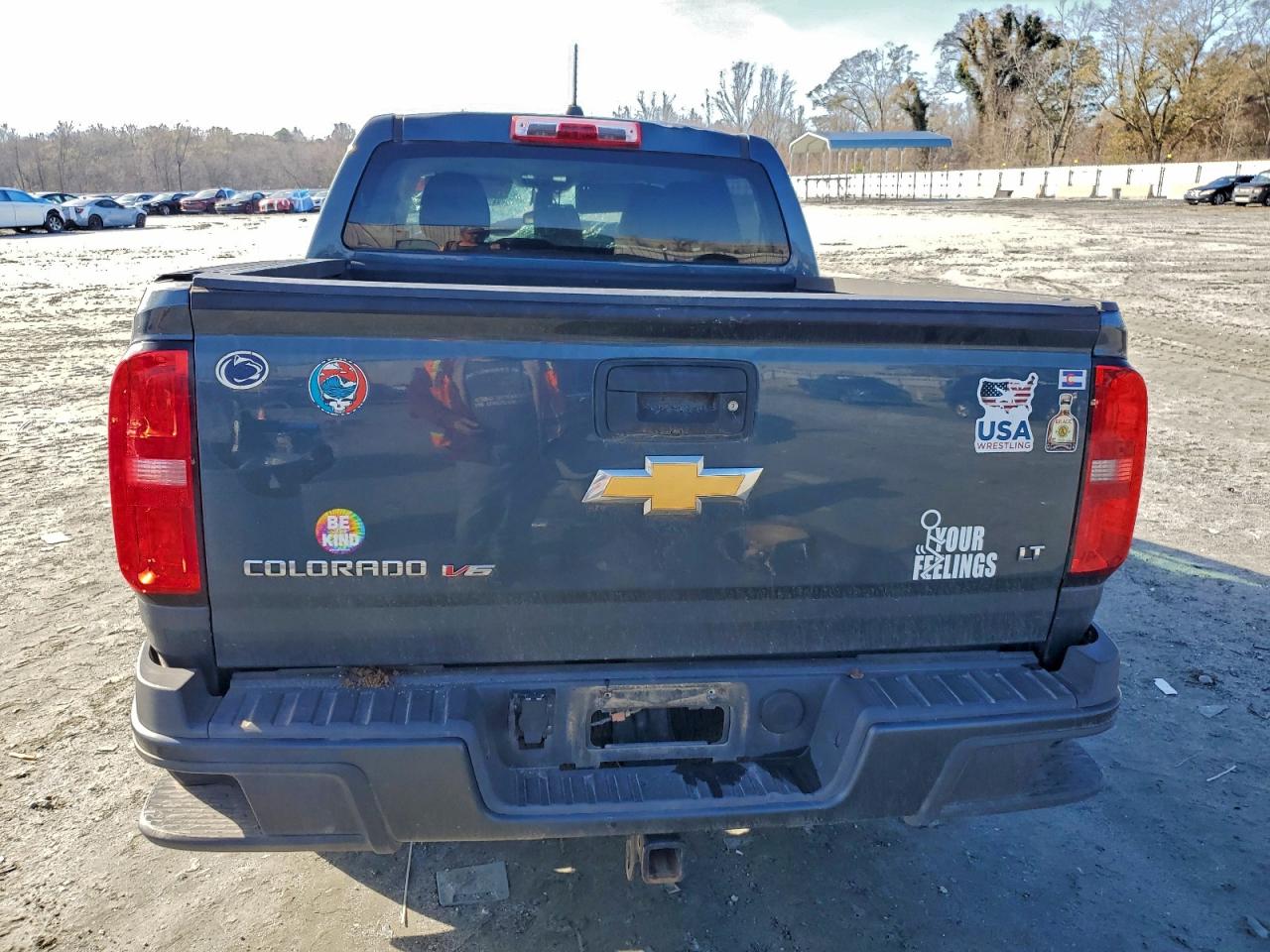 2019 Chevrolet Colorado Lt VIN: 1GCGSCEN4K1116460 Lot: 94368805