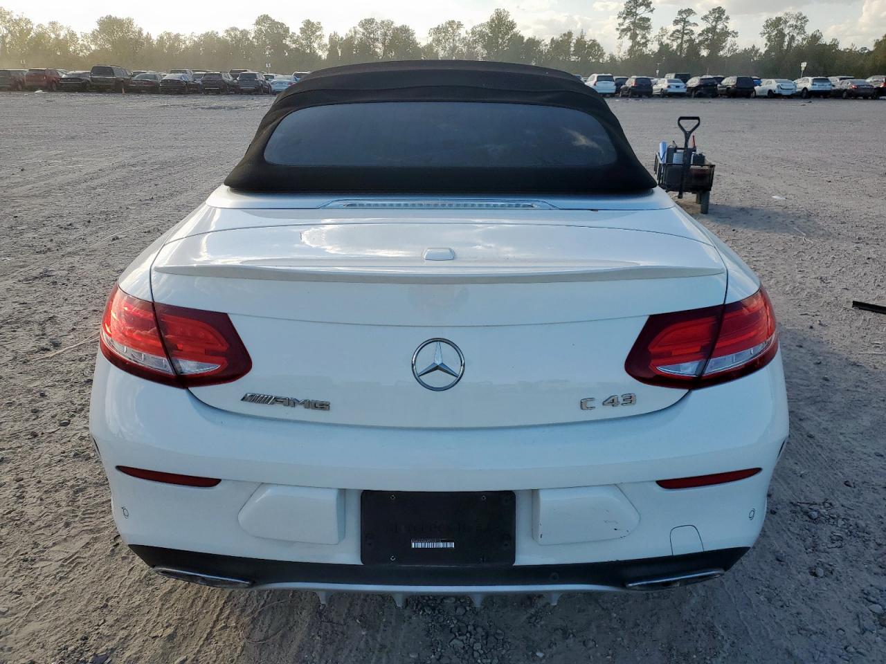 Фото: WDDWK6EB3HF508110