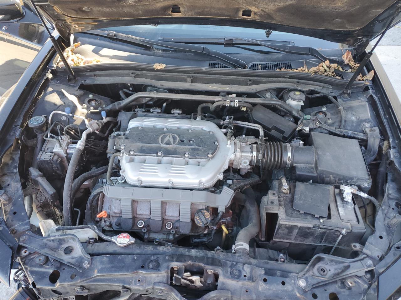 2014 Acura Tl Se VIN: 19UUA8F38EA000765 Lot: 91491475