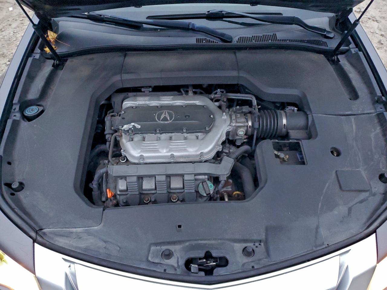 2009 Acura Tl VIN: 19UUA96529A003240 Lot: 93810435