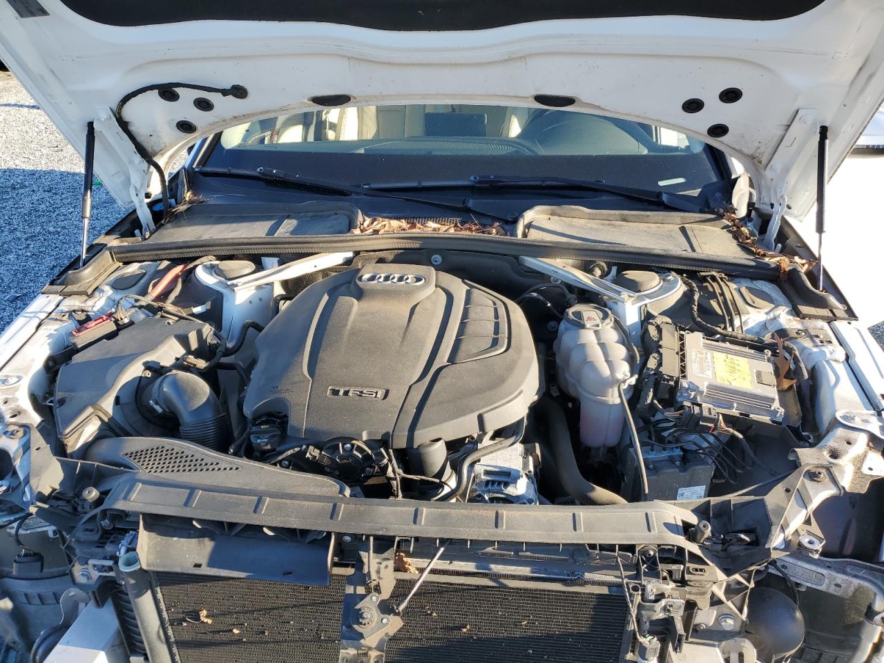 2019 Audi A4 Premium VIN: WAUGMAF4XKA055391 Lot: 91579895