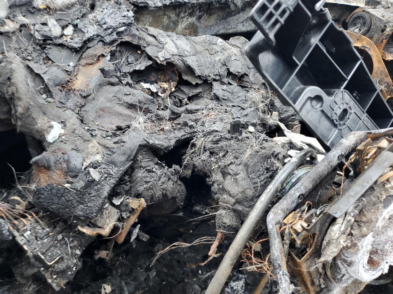 1994 Ford Mustang Cobra VIN: 1FALP42D8RF212872 Lot: 91417435