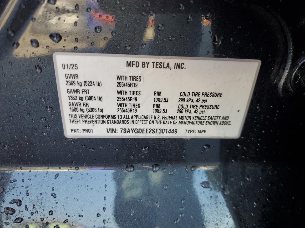 2025 Tesla Model Y VIN: 7SAYGDEE2SF301449 Lot: 91083855