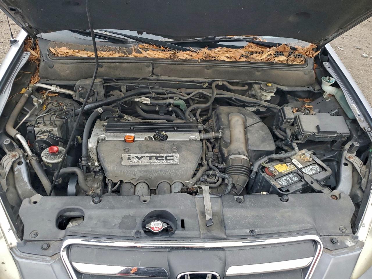 2005 Honda Cr-V Se VIN: SHSRD789X5U327899 Lot: 93826805